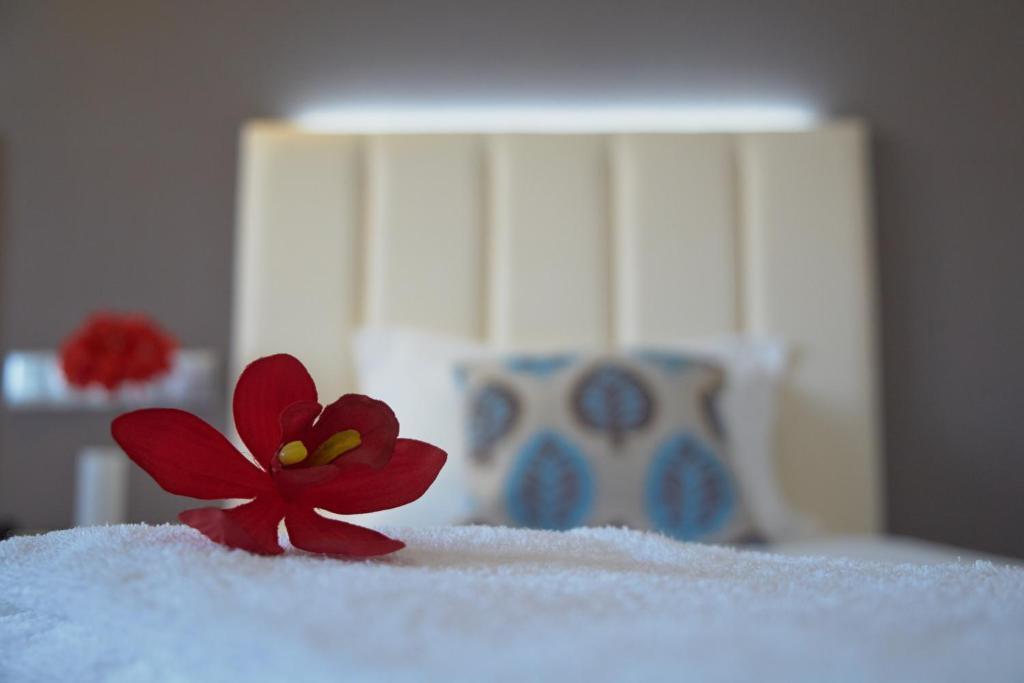 Hotel Azinheira By Ridan Hotels Fatima Room photo